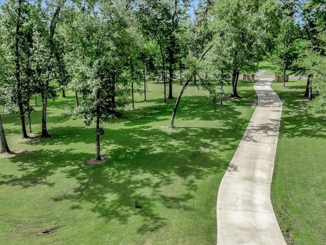 410 Brentwood Dr, Lufkin, TX 75901 - view of home's community featuring a lawn and view of wooded area