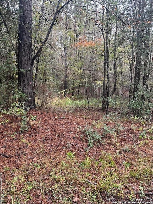 TBD County Road 062, Jasper TX, 75951 land for sale