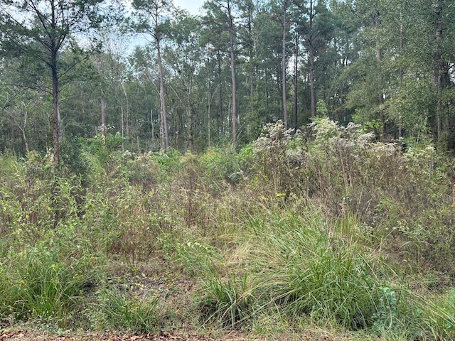 709 Sandybrook, Lufkin TX, 75901 land for sale