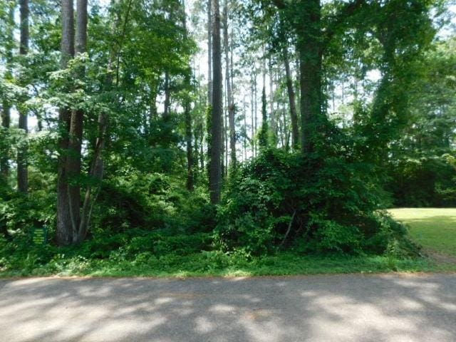 226 Helm St, Hemphill, TX 75948 - photo 2