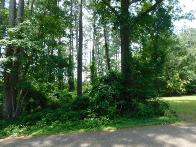 000 Helm St, Hemphill TX, 75948 land for sale