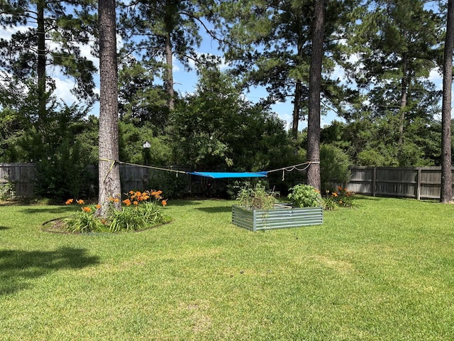 300 Deer Trace Blvd, Diboll, TX 75941 - fenced backyard with a vegetable garden