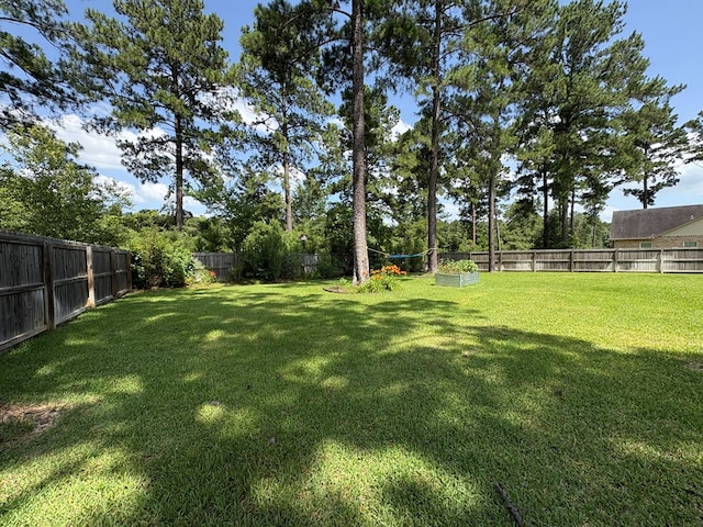 300 Deer Trace Blvd, Diboll, TX 75941 - view of fenced backyard