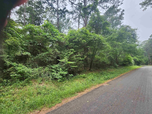 207 Long King, Livingston TX, 77351 land for sale