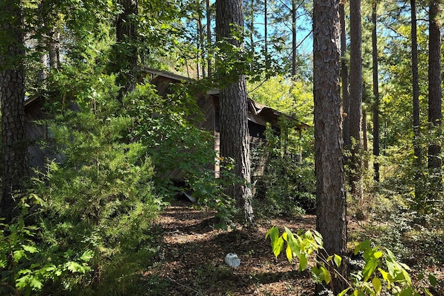 view of local wilderness