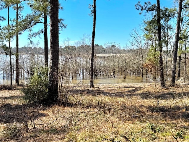 005 Fm 83, Broaddus TX, 75929 land for sale