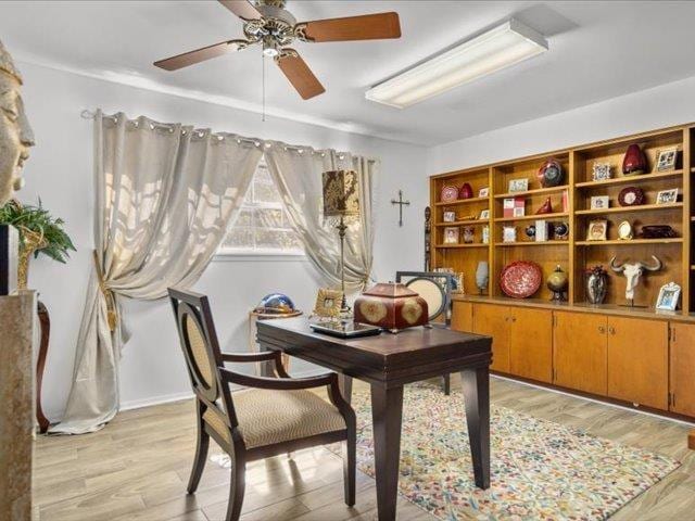 office featuring ceiling fan and light wood-type flooring