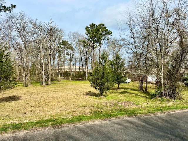 Listing photo 3 for TBD Arrington Rd, Diboll TX 75941