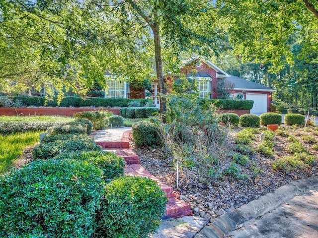 view of yard featuring a garage