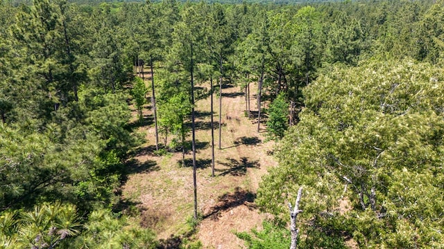 152217 Whitehead Dr, Lufkin, TX 75901 - photo 13