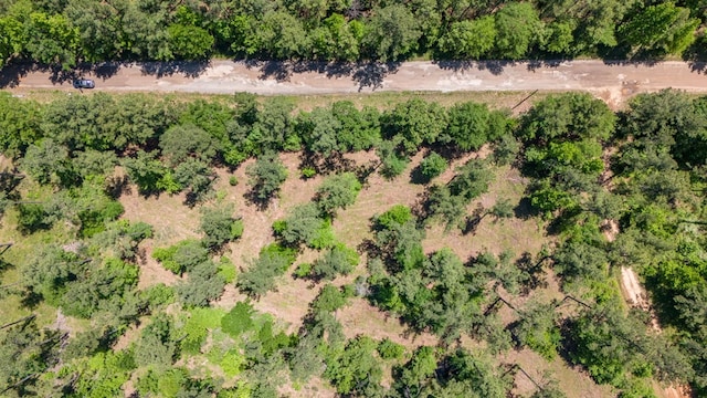 152217 Whitehead Dr, Lufkin, TX 75901 - photo 14