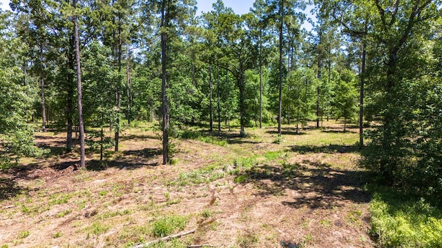 152217 Whitehead Dr, Lufkin, TX 75901 - photo 12