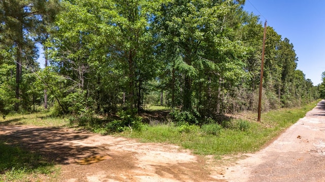 152217 Whitehead Dr, Lufkin, TX 75901 - photo 15