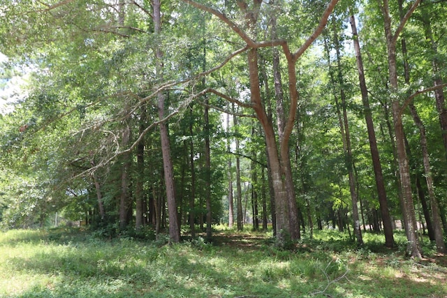 Listing photo 2 for LOT103 Hunterwood Dr, Jasper TX 75951