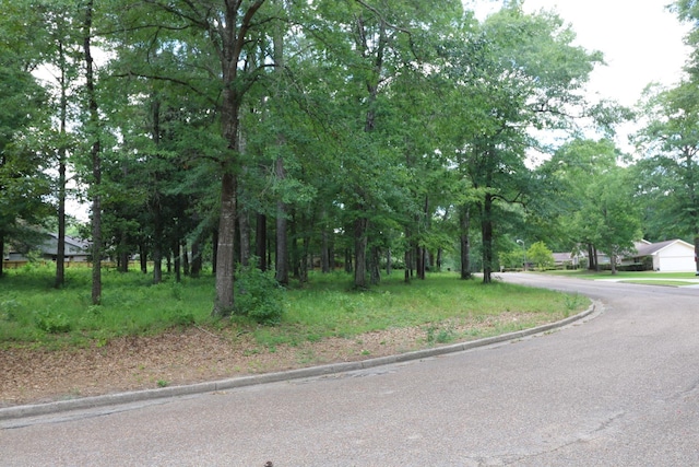 LOT103 Hunterwood Dr, Jasper TX, 75951 land for sale