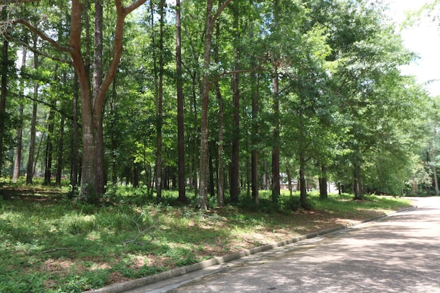 Listing photo 3 for LOT103 Hunterwood Dr, Jasper TX 75951