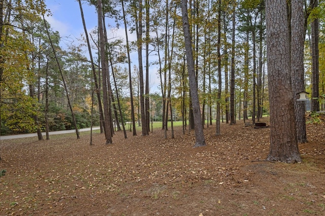 view of local wilderness