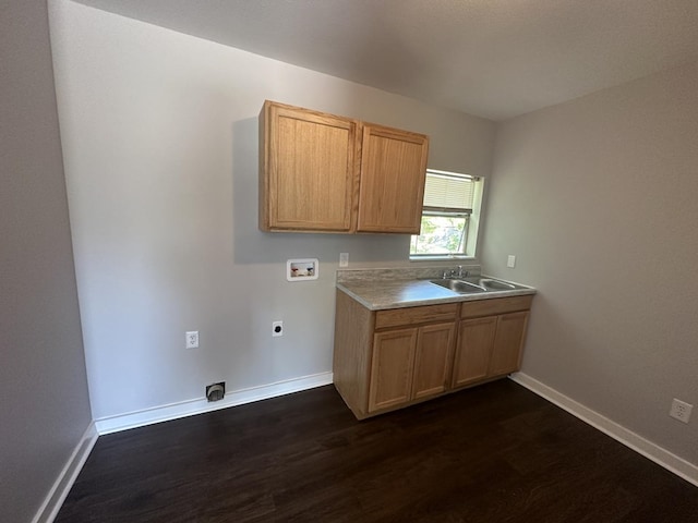 kitchen with sink and dark hardwood / wood-style floors