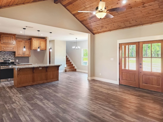 kitchen with dark hardwood / wood-style floors, a healthy amount of sunlight, light stone counters, and stainless steel range