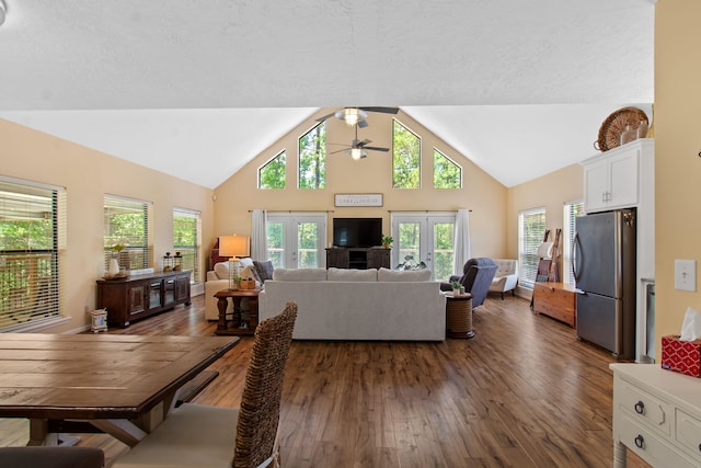 living room featuring french doors, dark wood-type flooring, high vaulted ceiling, and a healthy amount of sunlight