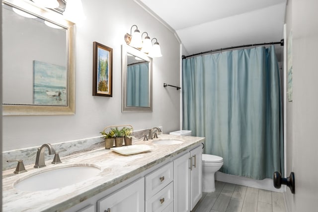 full bathroom featuring vanity, shower / tub combo, and toilet