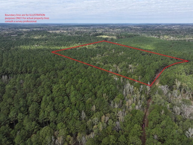 1234 County Road 403, San Augustine TX, 75972 land for sale