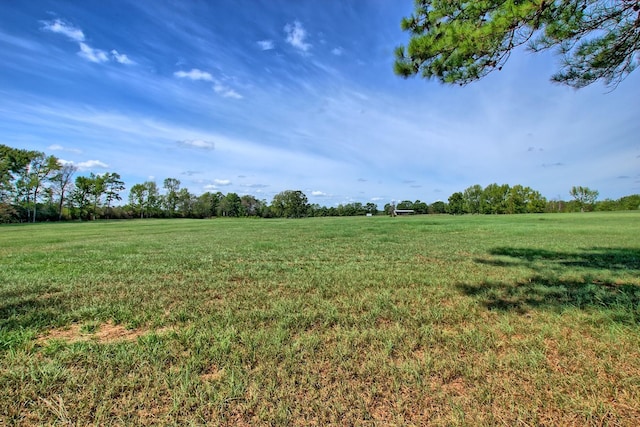 view of yard with a rural view