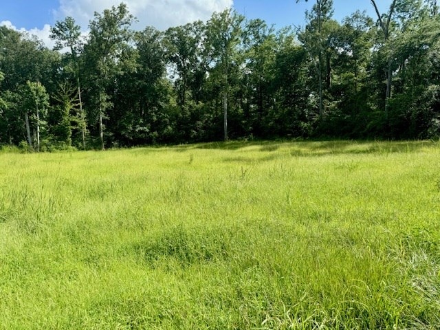 LOT70RYALLAC County Road 172, Jasper, TX 75951 - photo 2