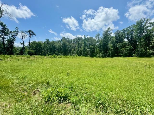 LOT70RYALLAC County Road 172, Jasper, TX 75951 - photo 1