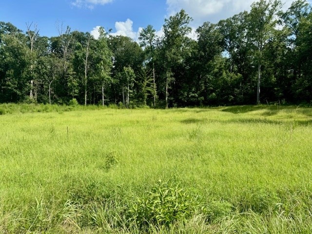 LOT70RYALLAC County Road 172, Jasper, TX 75951 - photo 3