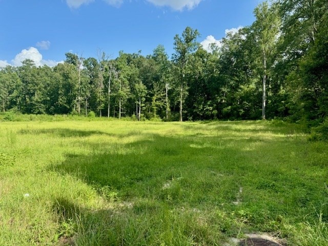 LOT70RYALLAC County Road 172, Jasper, TX 75951 - photo 4