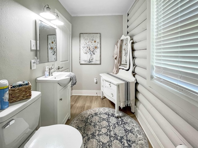 bathroom featuring toilet, vanity, and hardwood / wood-style flooring