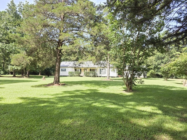180 County Road 3480, Tenaha, TX 75974 - photo 7