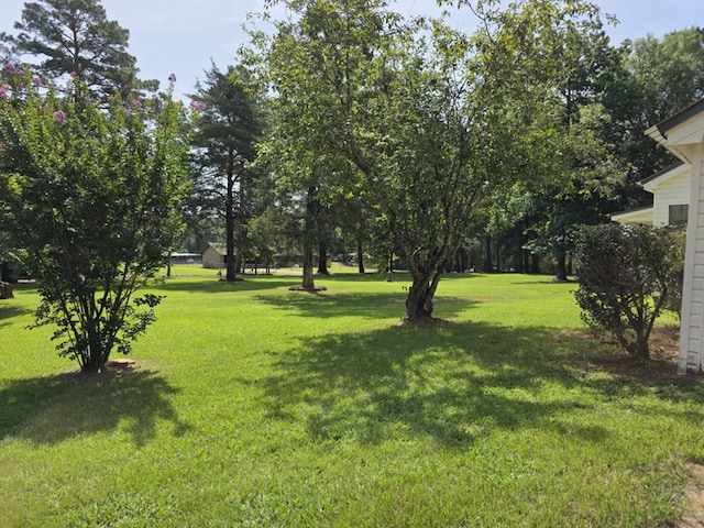 180 County Road 3480, Tenaha, TX 75974 - photo 2