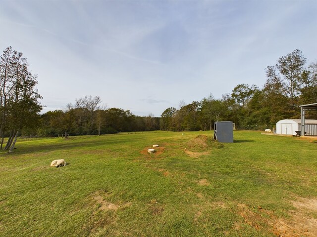 view of yard featuring a storage unit