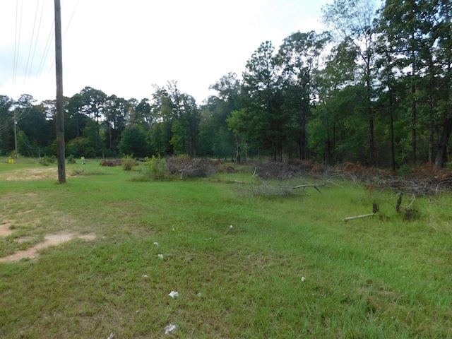 Listing photo 3 for 595 Fairdale Rd, Hemphill TX 75948