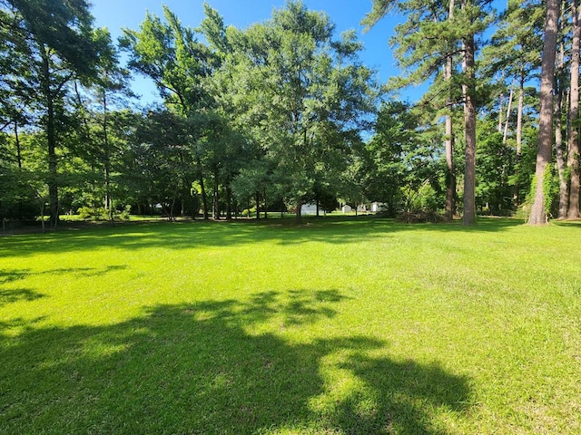 4710 County Road 082, Jasper, TX 75951 - view of grassy yard