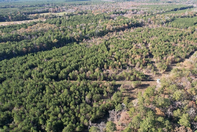 1729 Neal Rd, Huntington, TX 75949 - photo 10