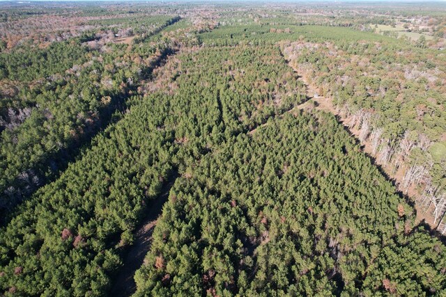 1729 Neal Rd, Huntington, TX 75949 - photo 8