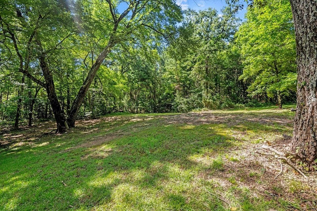 4890 Fm 2259, Nacogdoches, TX 75961 - photo 10