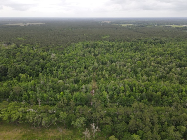 TBD Thomas Road, Evadale, TX 77612 - photo 3