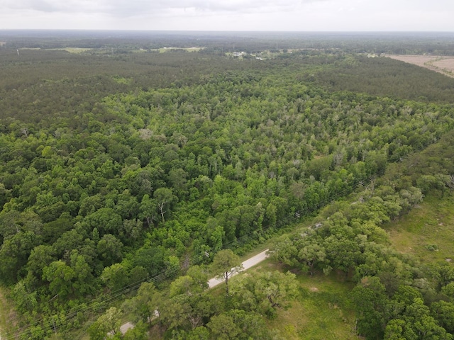 TBD Thomas Road, Evadale, TX 77612 - photo 2