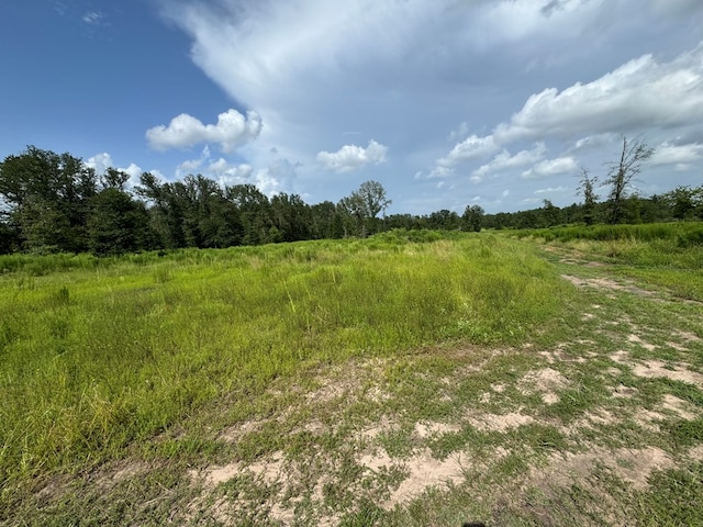 Listing photo 3 for 00 Timber Ranch Rd, Apple Springs TX 75901