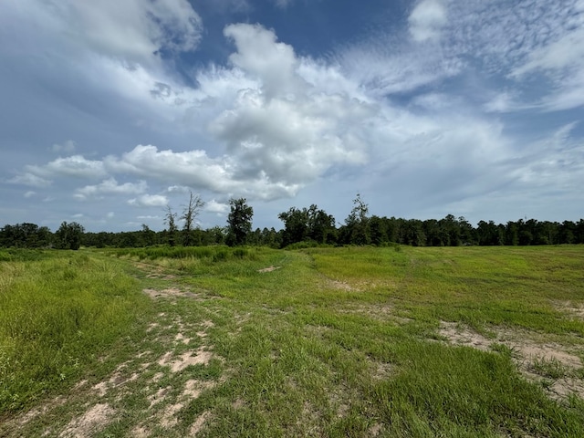 Listing photo 2 for 00 Timber Ranch Rd, Apple Springs TX 75901