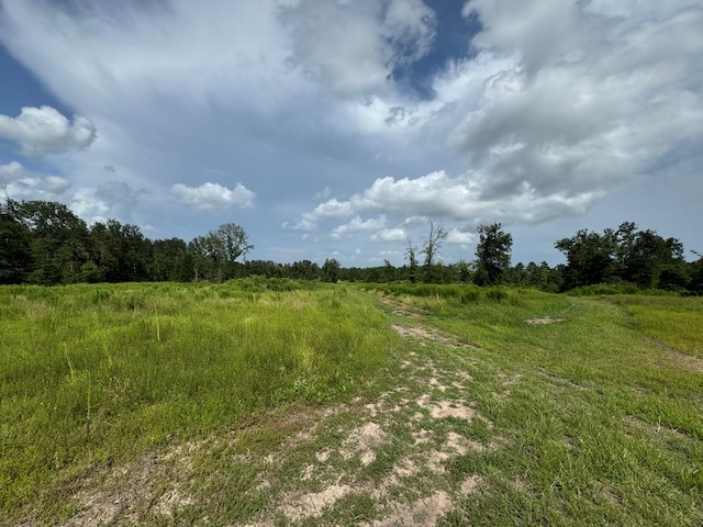 00 Timber Ranch Rd, Apple Springs TX, 75901 land for sale