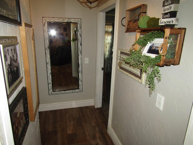 corridor featuring dark hardwood / wood-style floors