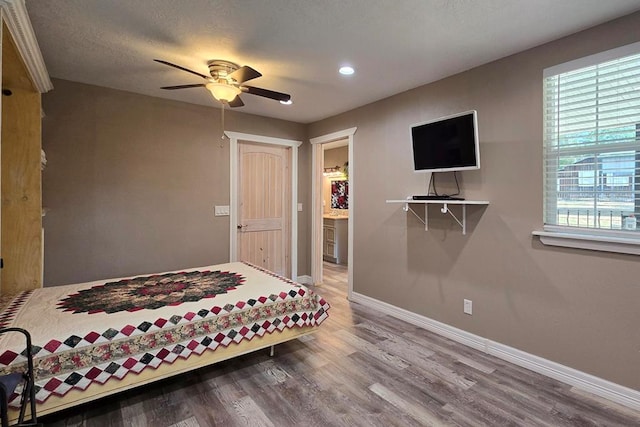 bedroom featuring ceiling fan, wood-type flooring, ensuite bathroom, and multiple windows