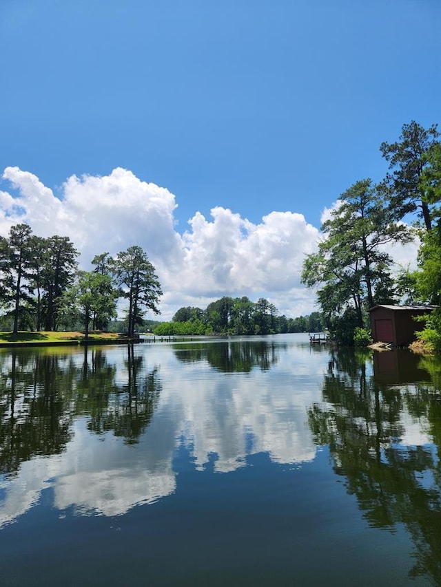 719 Hickory Hill Dr, Burkeville, TX 75932 - photo 2