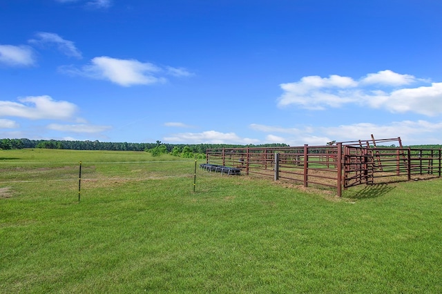 224 James King Rd, Zavalla, TX 75980 - photo 42