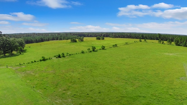 224 James King Rd, Zavalla, TX 75980 - photo 47